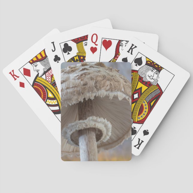 Close-Up Underside Of Mushroom Playing Cards (Back)