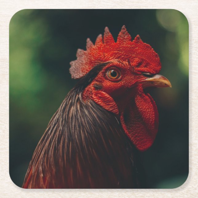 Close-Up View of a Rooster Square Paper Coaster (Front)