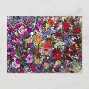 Close up view of bunches of cut flowers ready to 2 postcard