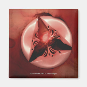 Close up view of the tricuspid valve in the heart magnet