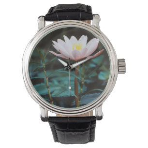 Close-Up view of Water Lily at Inle Lake Watch
