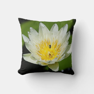 Close-up White Water Lily Flower and Bee Pillow
