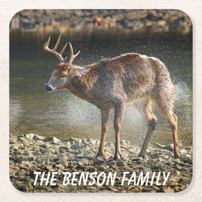 Close-up Wild Deer Square Paper Coaster (Front)