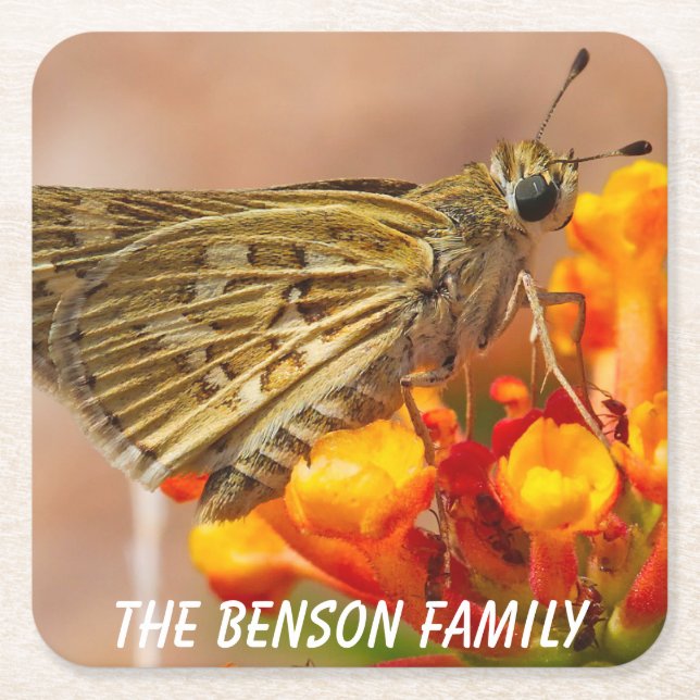 Close-up Wild Moth Square Paper Coaster (Front)