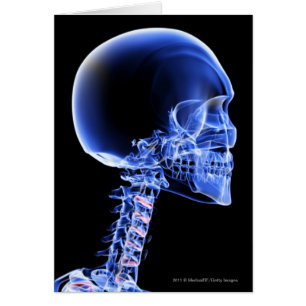 Close up x-ray of the bones in the neck