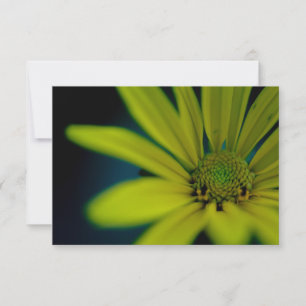 Close up Yellow Wildflower Card