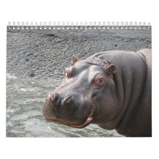 Close ups of wild animal faces 2014 calendar