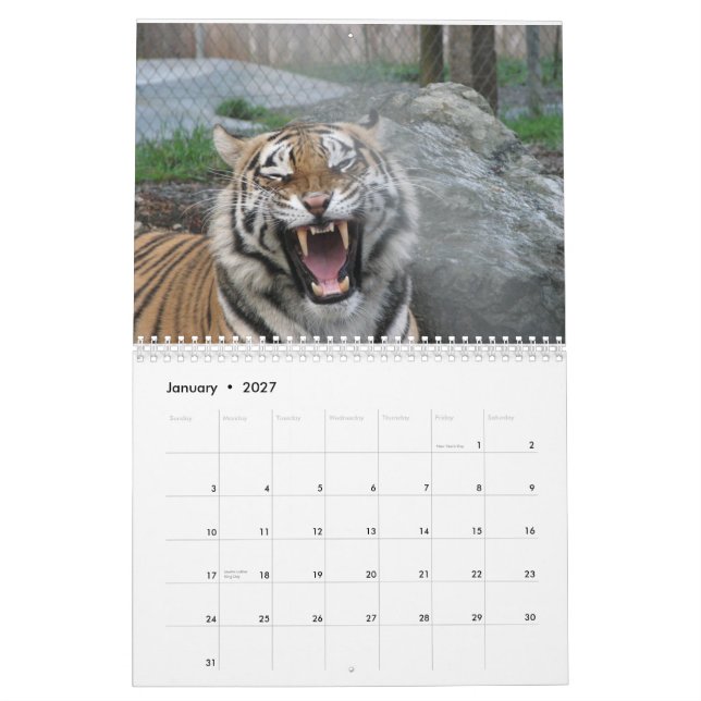 Close ups of wild animal faces 2014 calendar (Jan 2027)