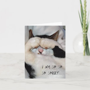 closed eye kitty, i am so so so sorry... card