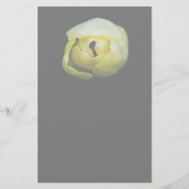 Closed tulip stationery (Front)