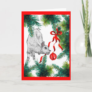 Closer Look Baby Goat Christmas Holiday Card