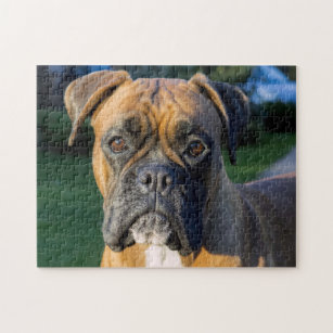 boxer dog jigsaw puzzles