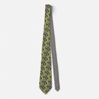 Closeup blue wildebeest feeding tie