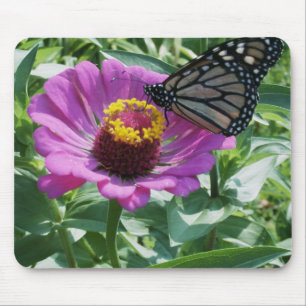 closeup butterfly mouse pad