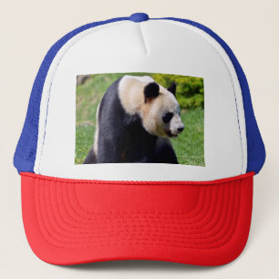 Closeup giant panda seen from profile trucker hat