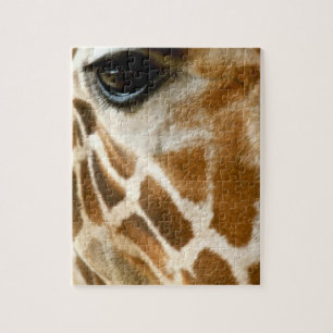 Closeup Giraffe Face Wild Animals Nature Photo Jigsaw Puzzle