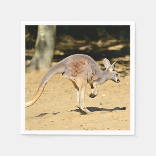 Closeup kangourou walking holiday postcard poster  napkin