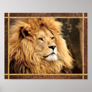 Closeup Lion Photo Poster