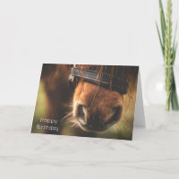 Closeup of a Cute Brown Horse Nose Birthday