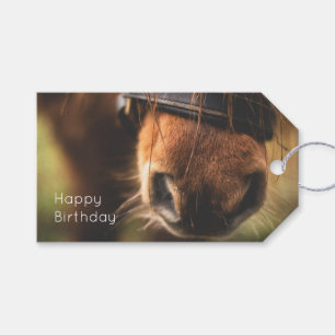 Closeup of a Cute Brown Horse Nose Birthday Gift Tags