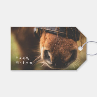 Closeup of a Cute Brown Horse Nose Birthday Gift Tags