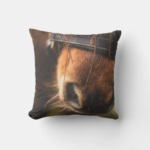 Closeup of a Cute Brown Horse Nose Cushion