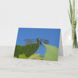 Closeup of a dragonfly against a bright blue sky card
