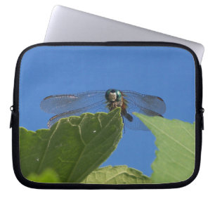 Closeup of a dragonfly against a bright blue sky laptop sleeve