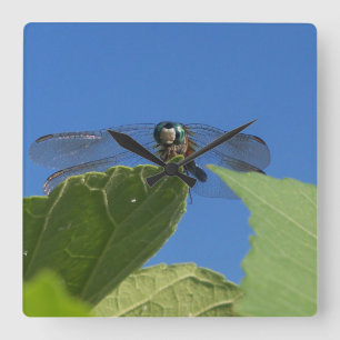 Closeup of a dragonfly against a bright blue sky square wall clock