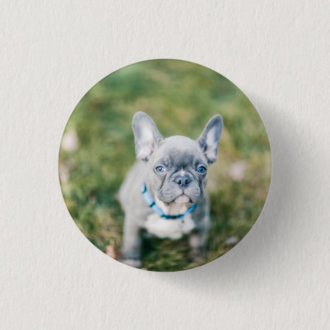 Closeup of a French Bulldog 3 Cm Round Badge (Front)