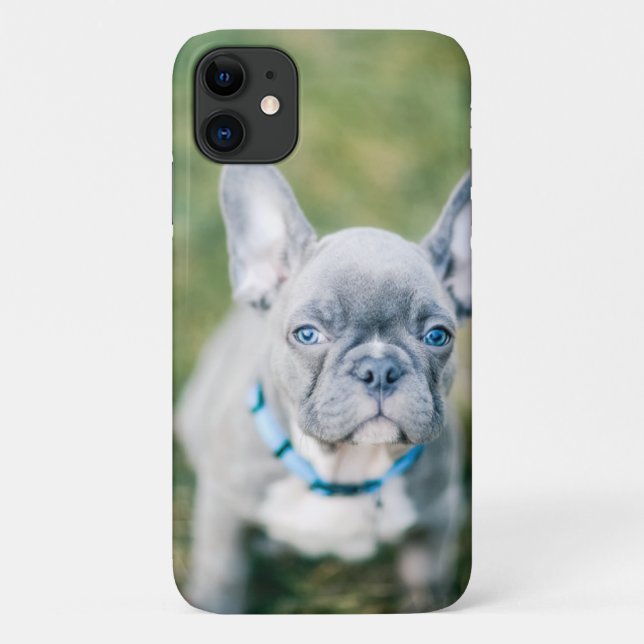 Closeup of a French Bulldog Case-Mate iPhone Case (Back)