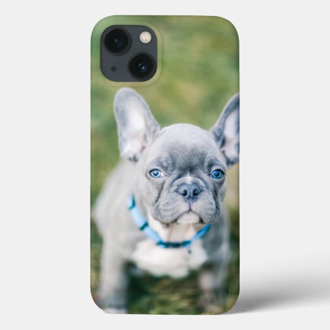 Closeup of a French Bulldog Case-Mate iPhone Case (Back)