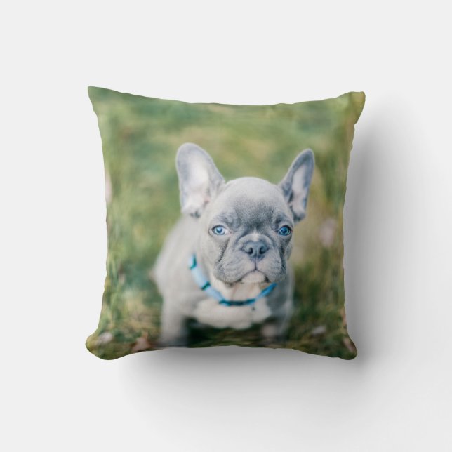 Closeup of a French Bulldog Cushion (Front)