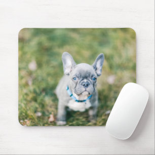 Closeup of a French Bulldog Mouse Pad
