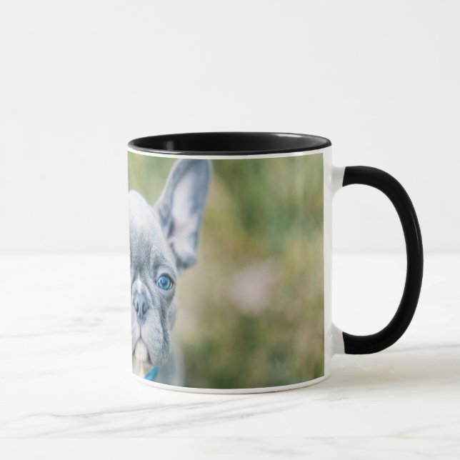 Closeup of a French Bulldog Mug (Right)