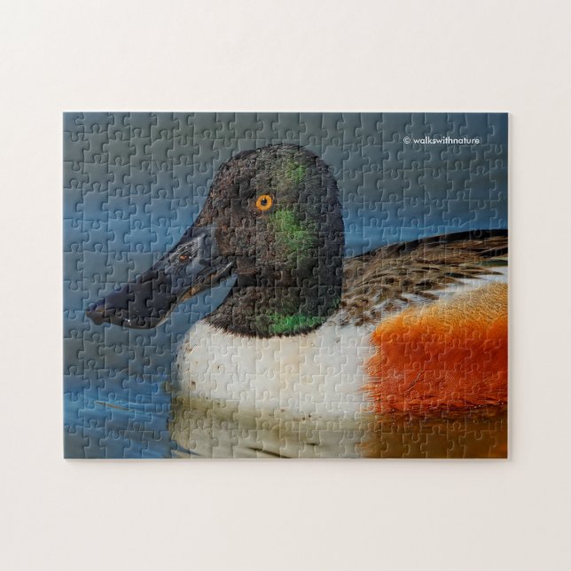 Closeup of a Handsome Northern Shoveler Duck Jigsaw Puzzle (Horizontal)