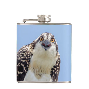 Closeup of a Juvenile Osprey Hip Flask