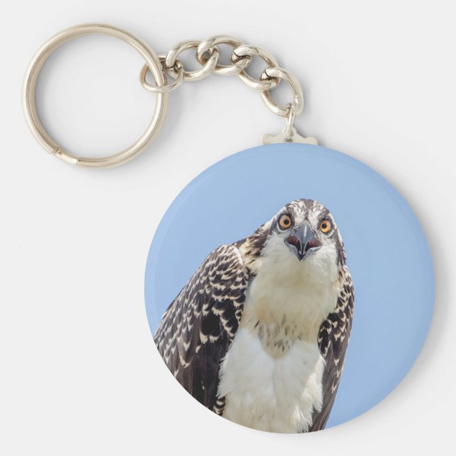 Closeup of a Juvenile Osprey Key Ring (Front)