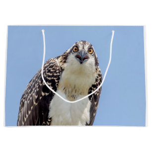 Closeup of a Juvenile Osprey Large Gift Bag