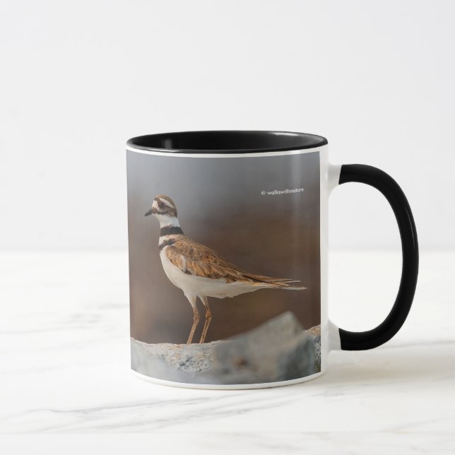 Closeup of a Killdeer Mug (Right)