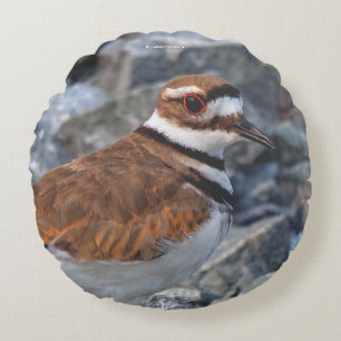 Closeup of a Killdeer Shorebird on the Rocks Round Cushion