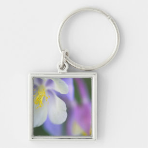 Closeup of Colorado Columbine flower. Key Ring