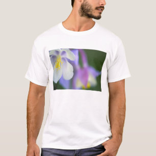 Closeup of Colorado Columbine flower. T-Shirt