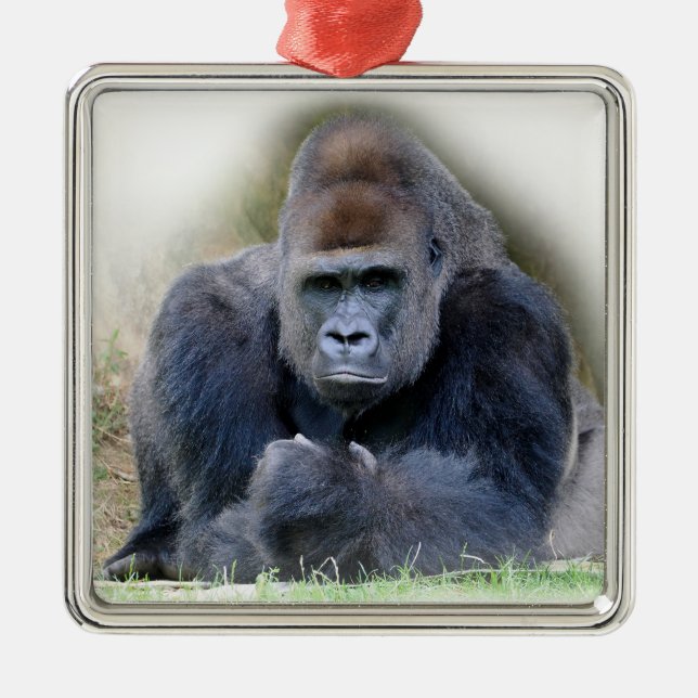 Closeup of gorilla lying on grass metal ornament (Front)