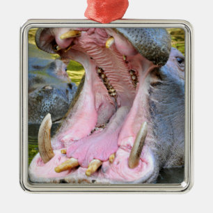Closeup of hippopotamus open mouth metal ornament