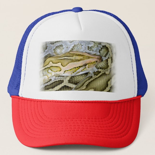 Closeup of Indian python Trucker Hat (Front)