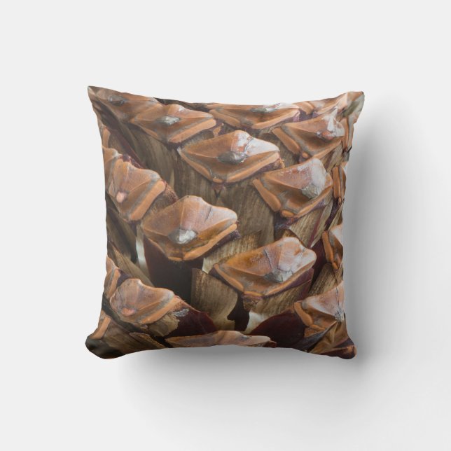 Closeup of pine cone cushion (Front)