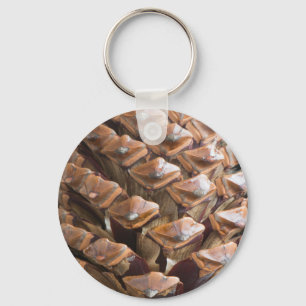 Closeup of pine cone key ring