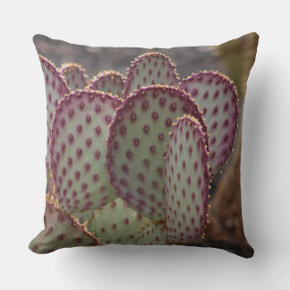 Closeup of Purple Cactus Cushion