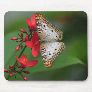 Closeup of white butterfly mouse pad